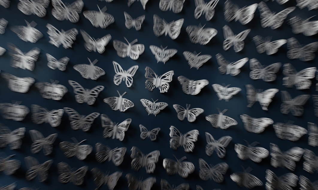 a group of butterflies on a blue background