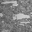 a close-up of a stone surface