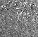 a close-up of a grey surface