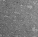 a close-up of a grey surface