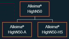 a diagram of a company