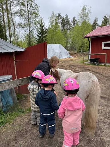 a group of children with helmets standing next to a horse